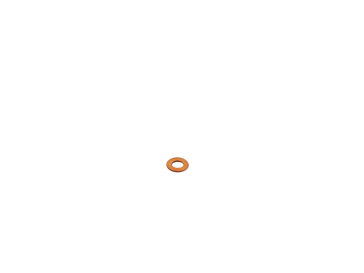 Ringdichtung