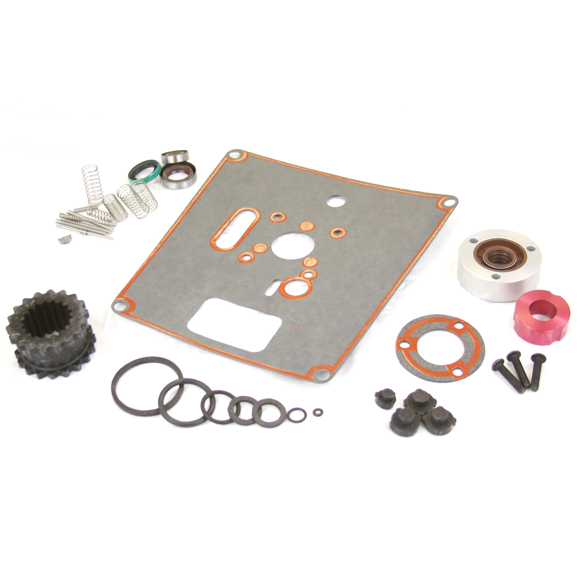 Kleiner Reparatursatz, Fisher Scientific M16C (1st Gen.)