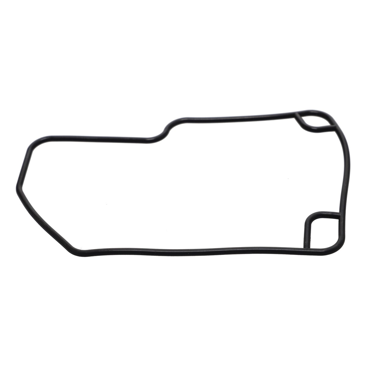 Geformte O-Ring-Dichtung, Leybold Sogevac SV65B / SV65BIFC, Artikel-Nr 300170