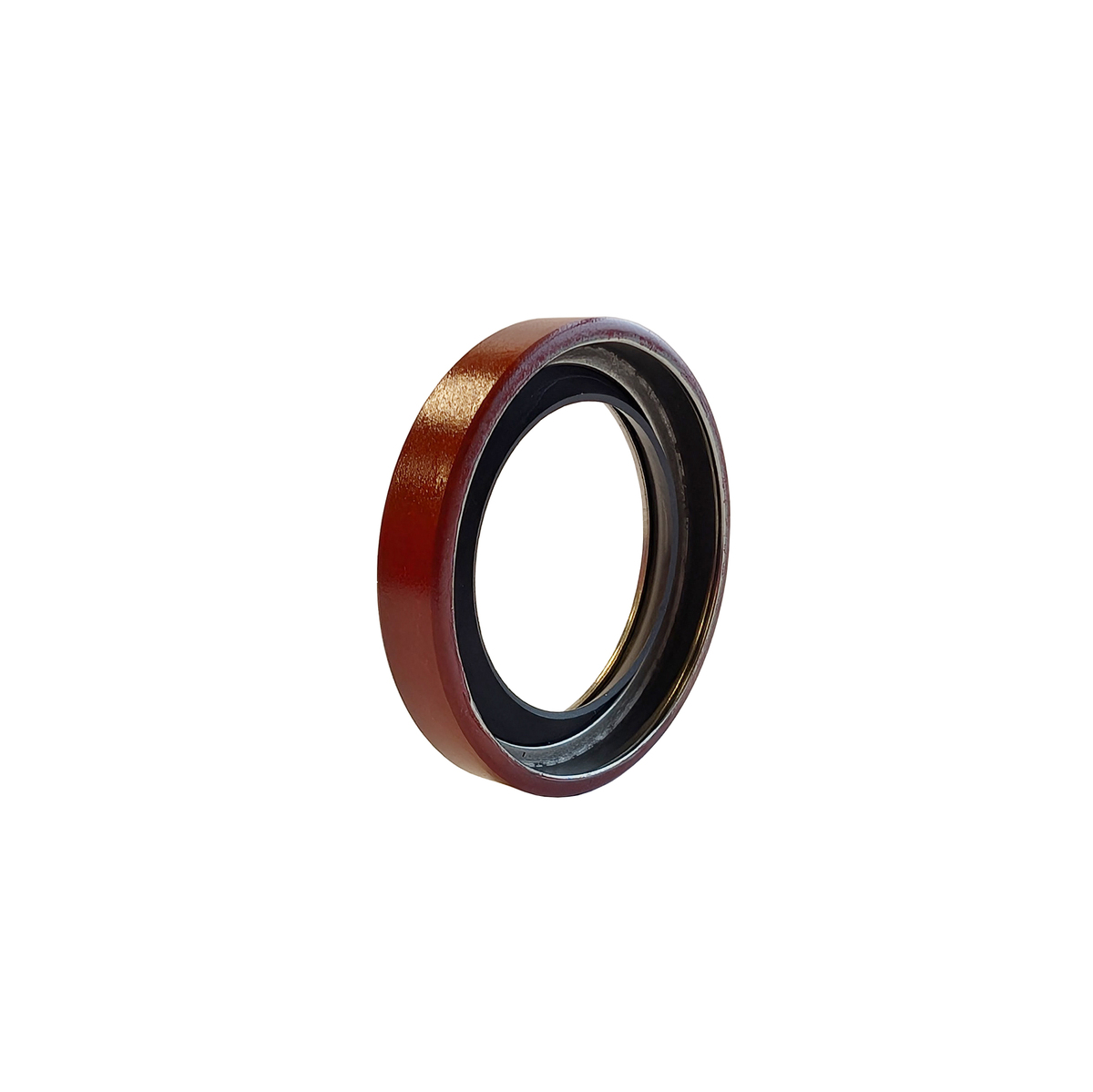 DICHTUNG 30.42.8 PLN PTFE